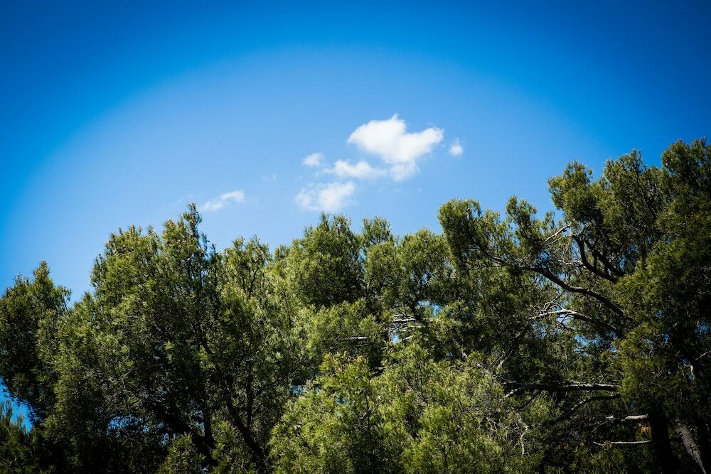 Фото Best Western Plus La Rade