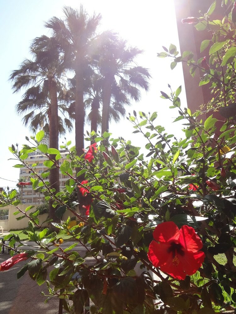 Фото Best View Welcome Apartamentos Karola