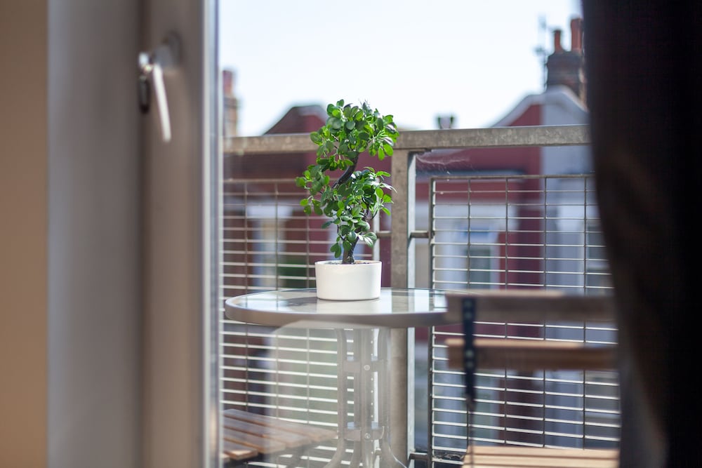 Фото The South Wimbledon Collection