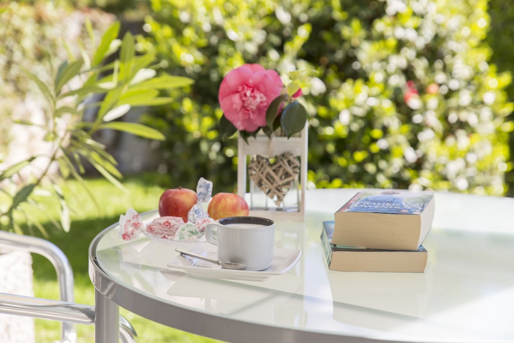 Фото Smart-Hotel Minusio