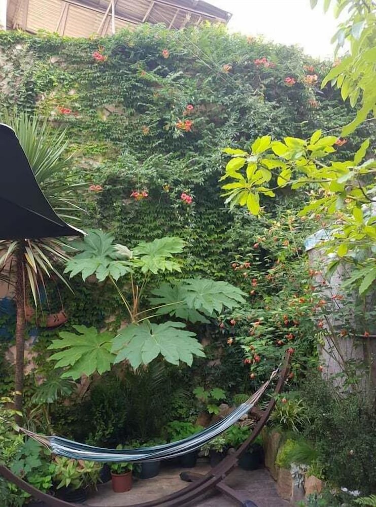 Фото Batumi Globus