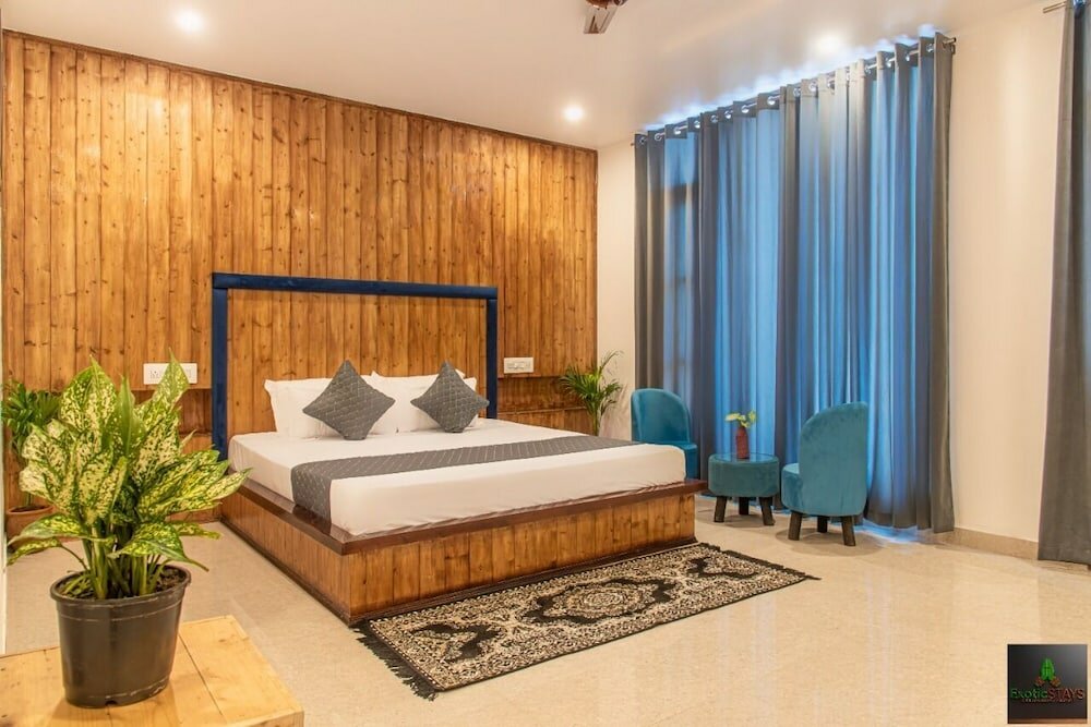 Фото The Cloud Berry