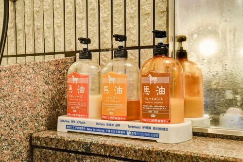 Гостиница Diamond Katayamazu Onsen Society в Префектуре Исикава