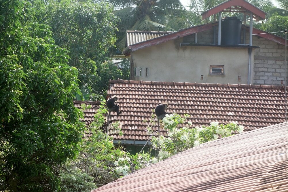 Фото Manel Guesthouse