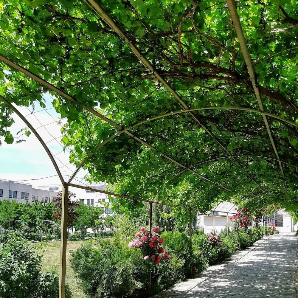 Фото Cross Resort