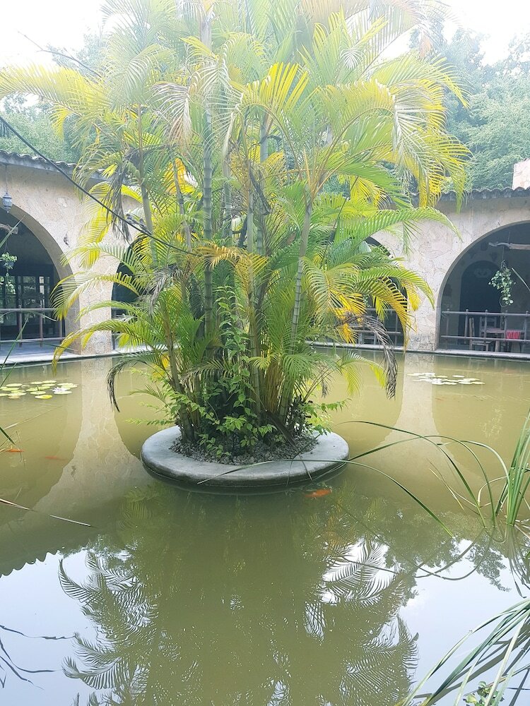Фото Rancho Agua Salada