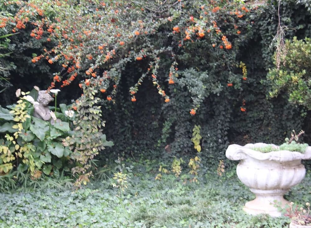 Фото Nmb Guest House