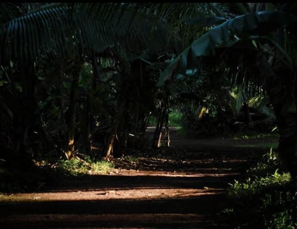 Фото Cinderland EcoVillage - Hostel