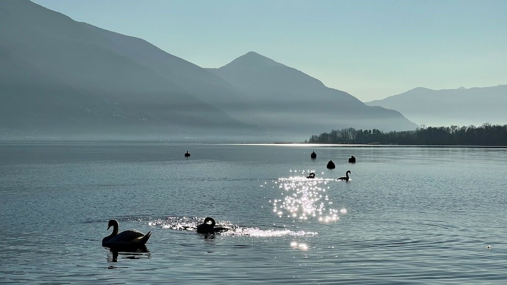 Фото Riva Rooms & Studios