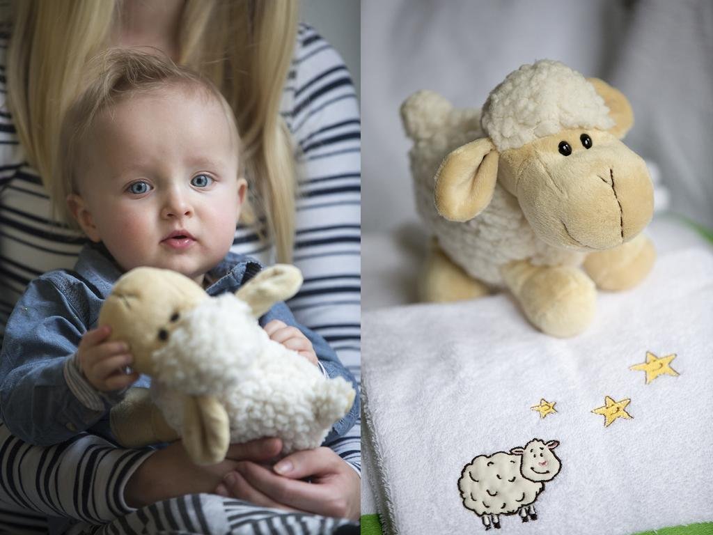 Фото City Centre Guesthouse De Rozenboom