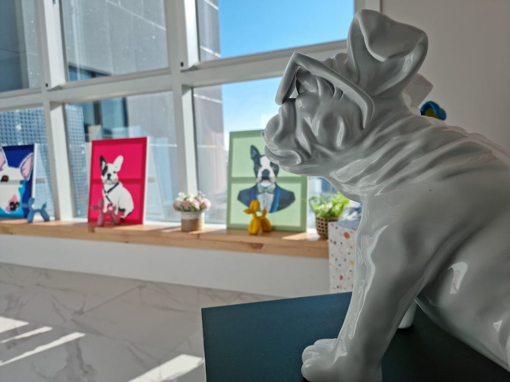 Фото Hound Hotel Busan Station