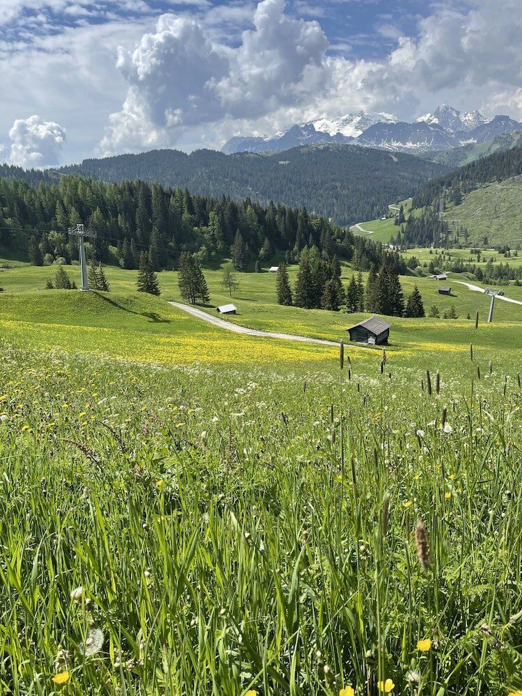 Фото Residence Bondi