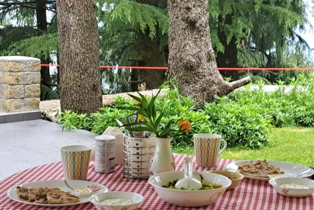 Фото BluSalz Homes - The Pine Tree Dalhousie