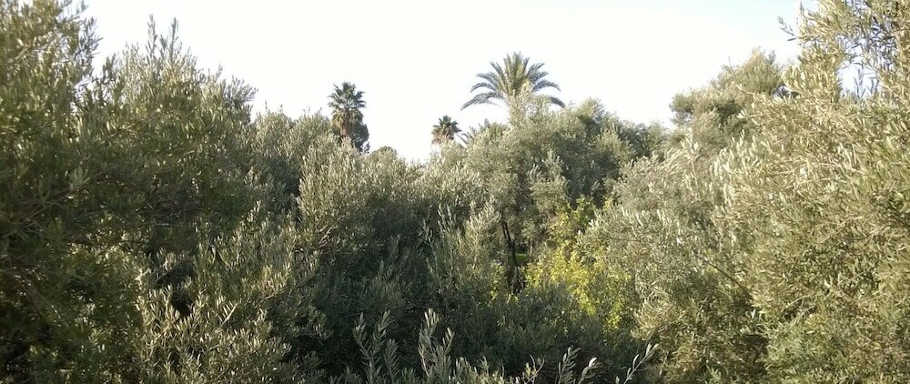 Фото Maison Boughdira