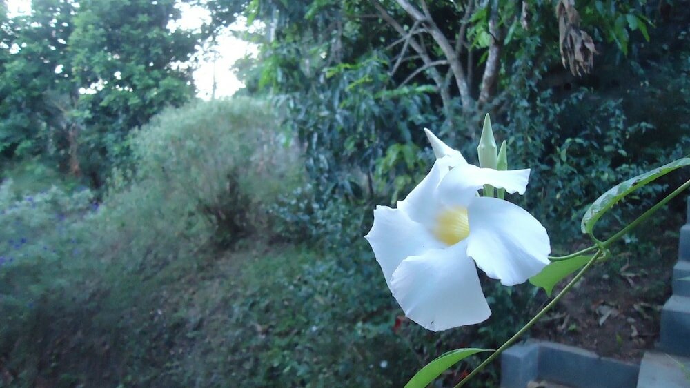 Фото Resort Beam