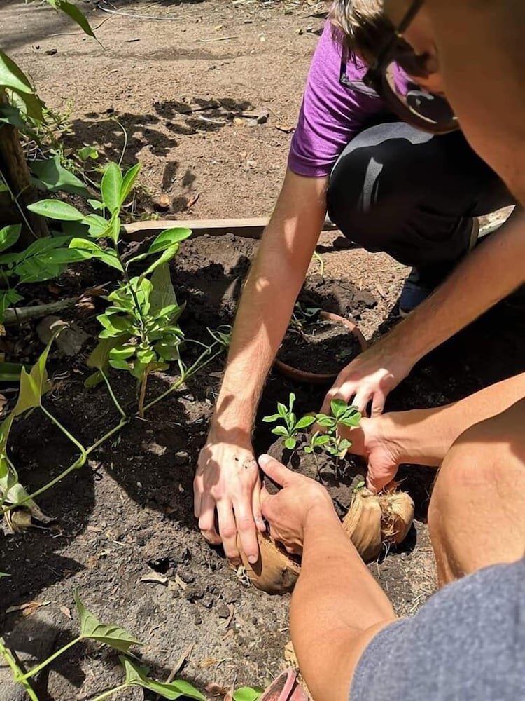 Фото Dream-Big Eco Hostel