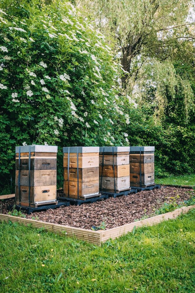 Фото Hotel Ter Elst