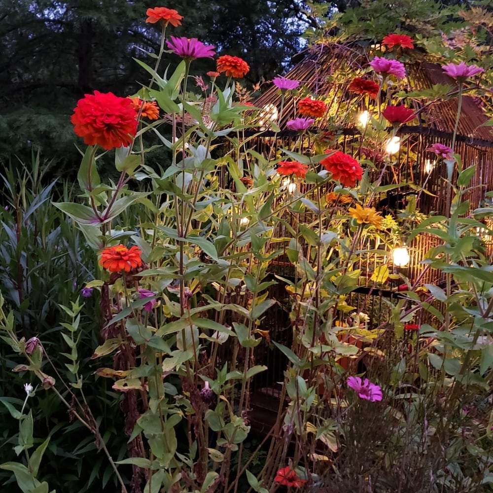 Фото Cedar Oaks Inn The Bath House