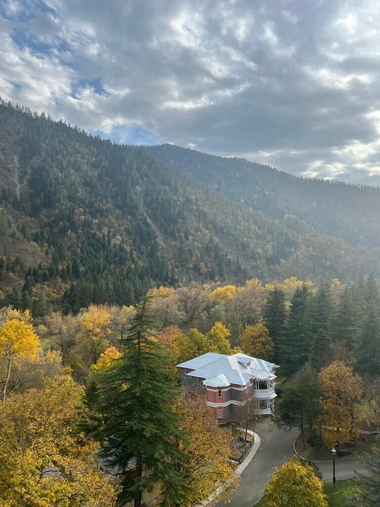 Фото Borjomi Likani