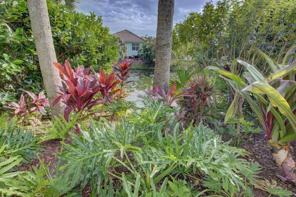 Фото Tortuga Pool Home