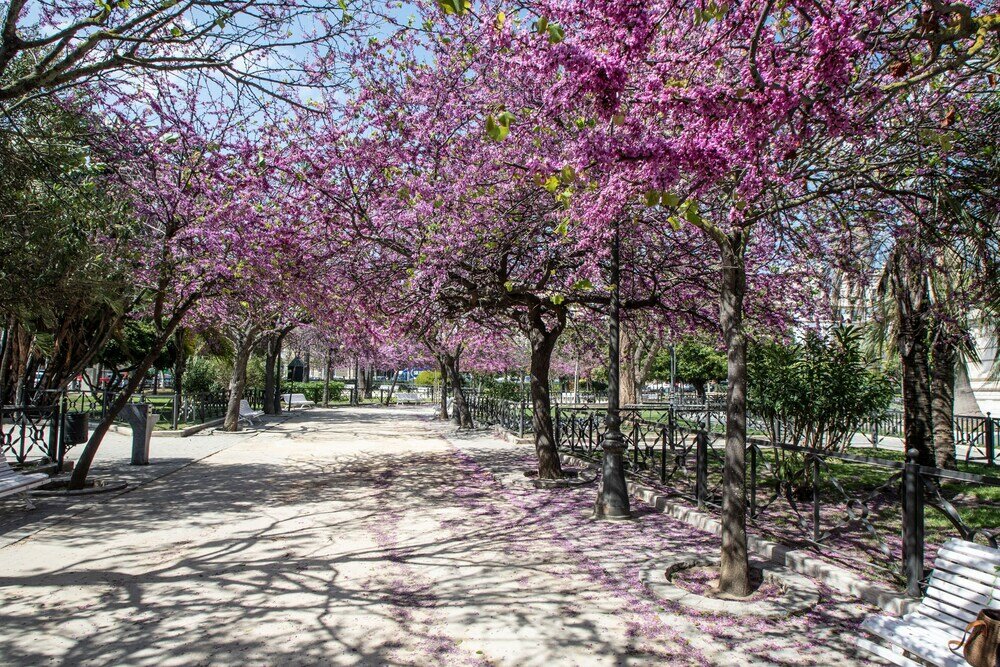 Фото Apartamento Ultramar Cádiz