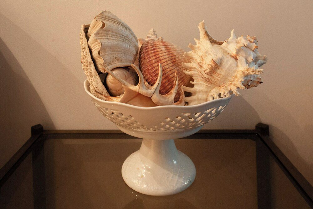 Фото BnButler - Osoppo 19