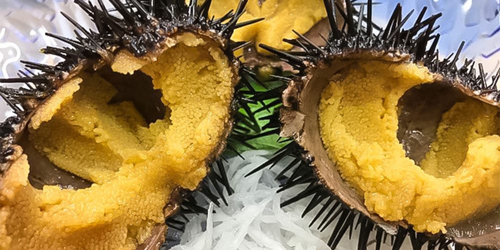 Фото Ryokan Kaikoukan