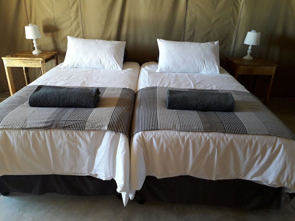Фото Blue Bushman Luxury Tented Lodge