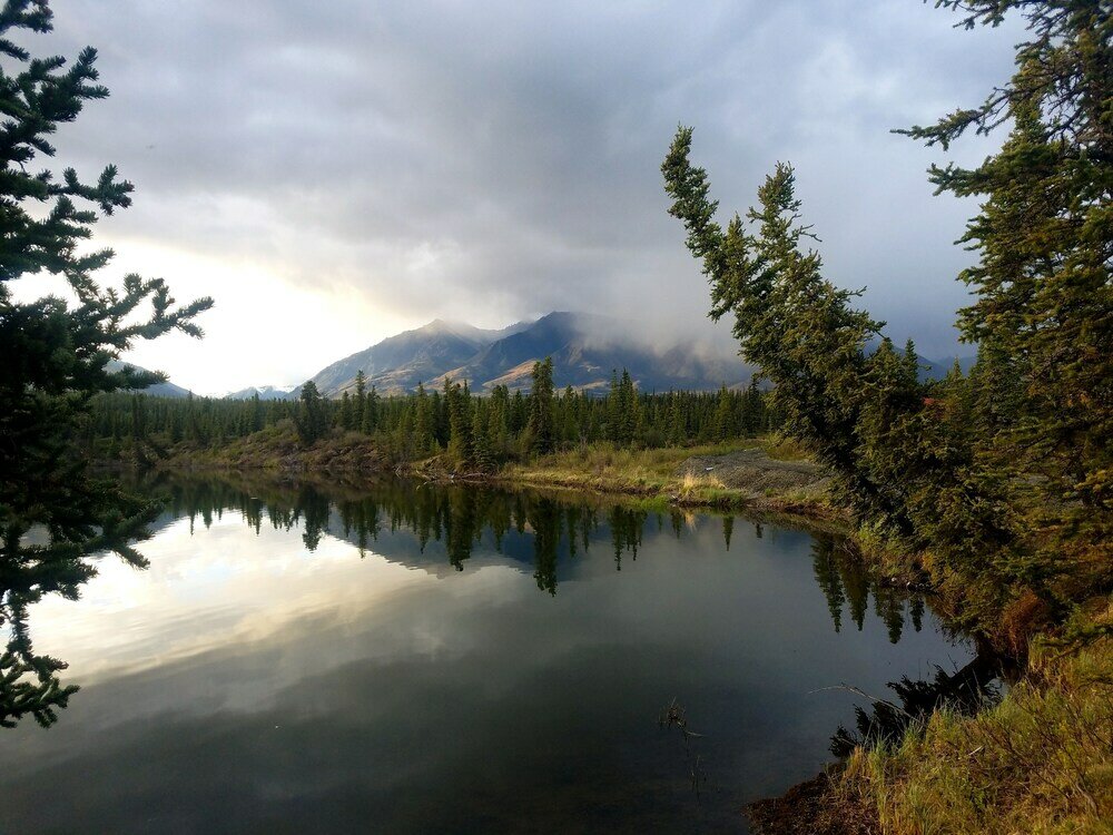 Фото Wrangell Mountains Wilderness Lodge
