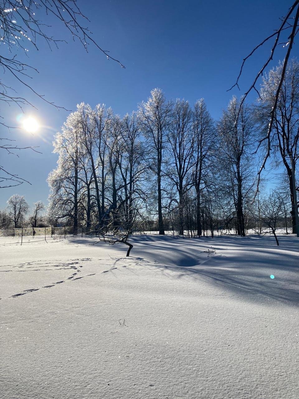 Фото Романовъ home