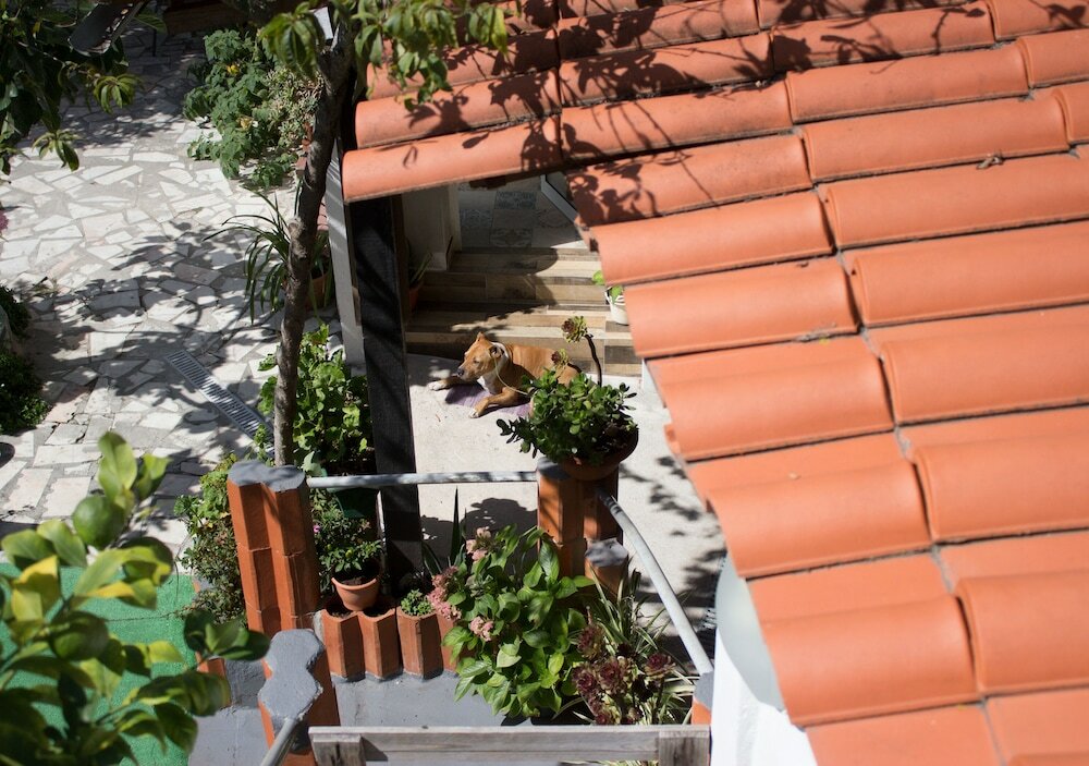 Фото Refugio do Esquilo