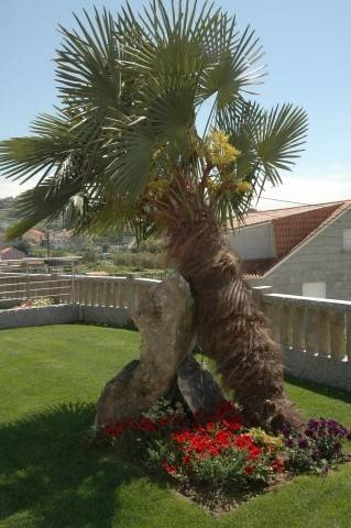 Фото Hotel Linares