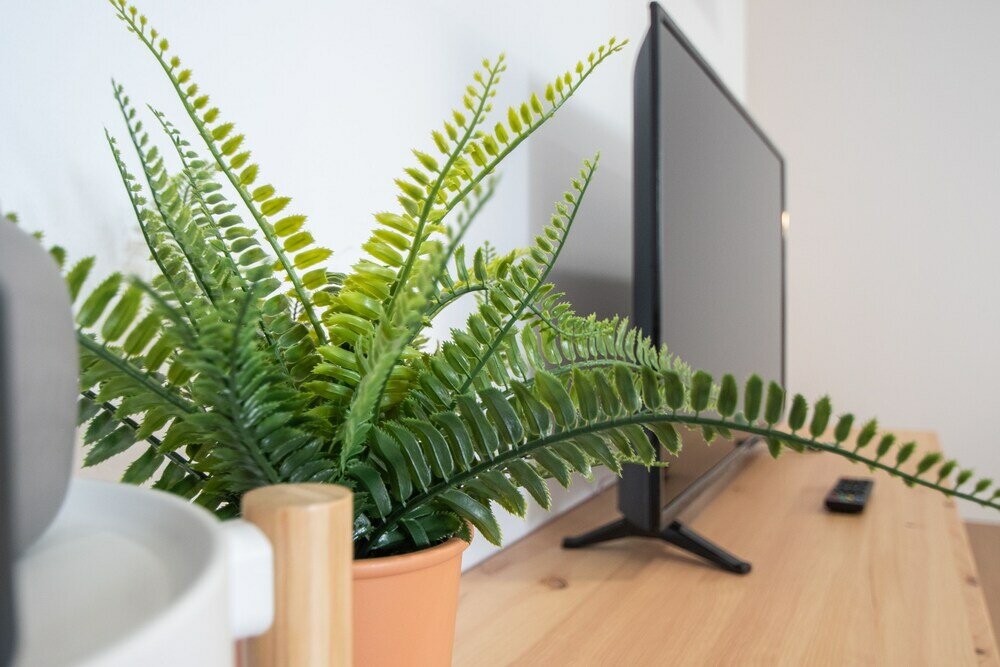 Фото Apartamento La Goleta