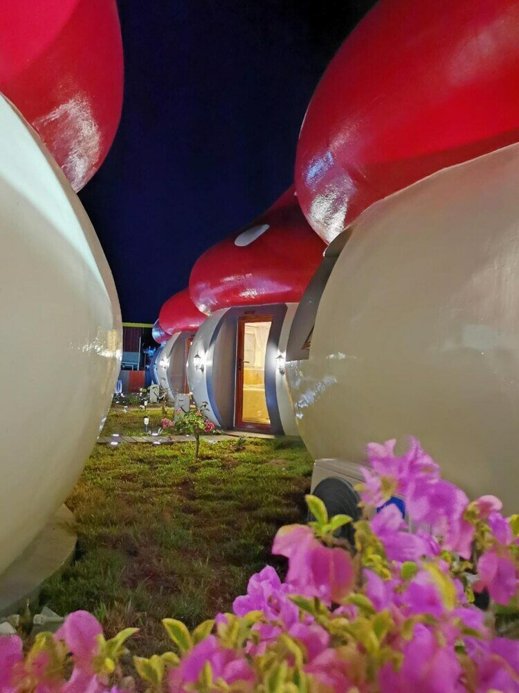 Фото Mushrooms Inn