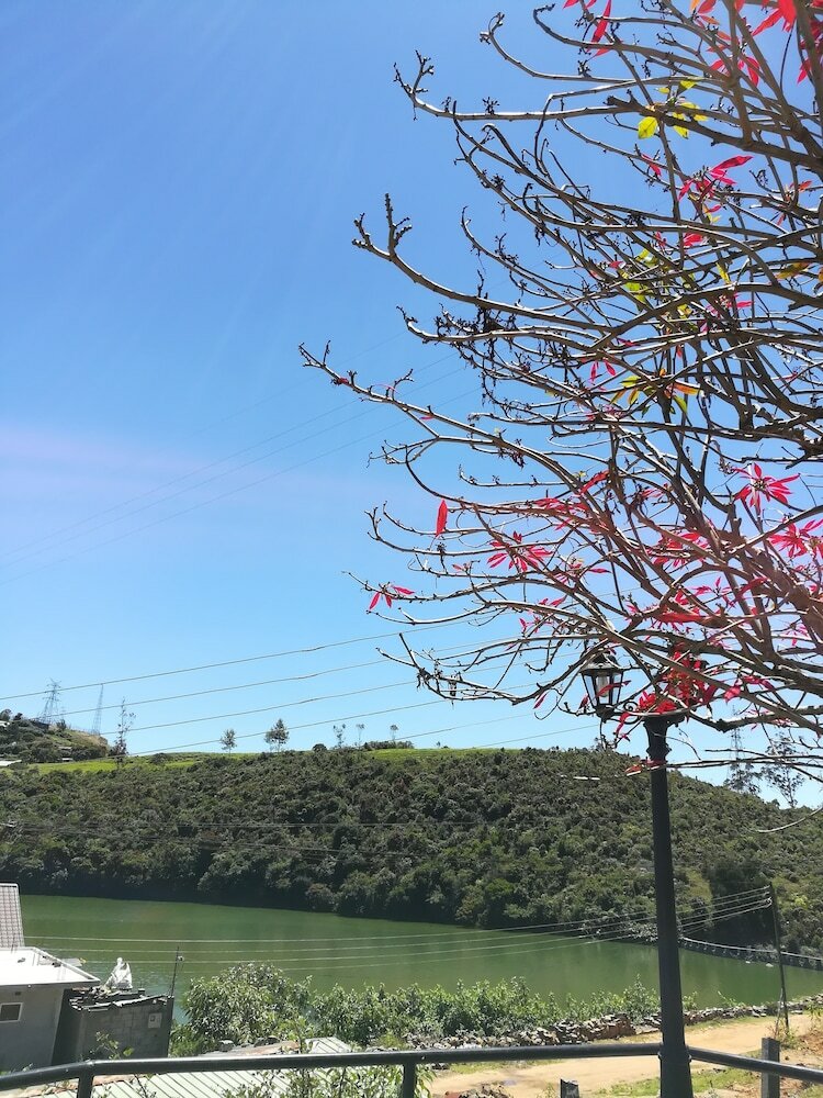 Фото Lakeside Cottages