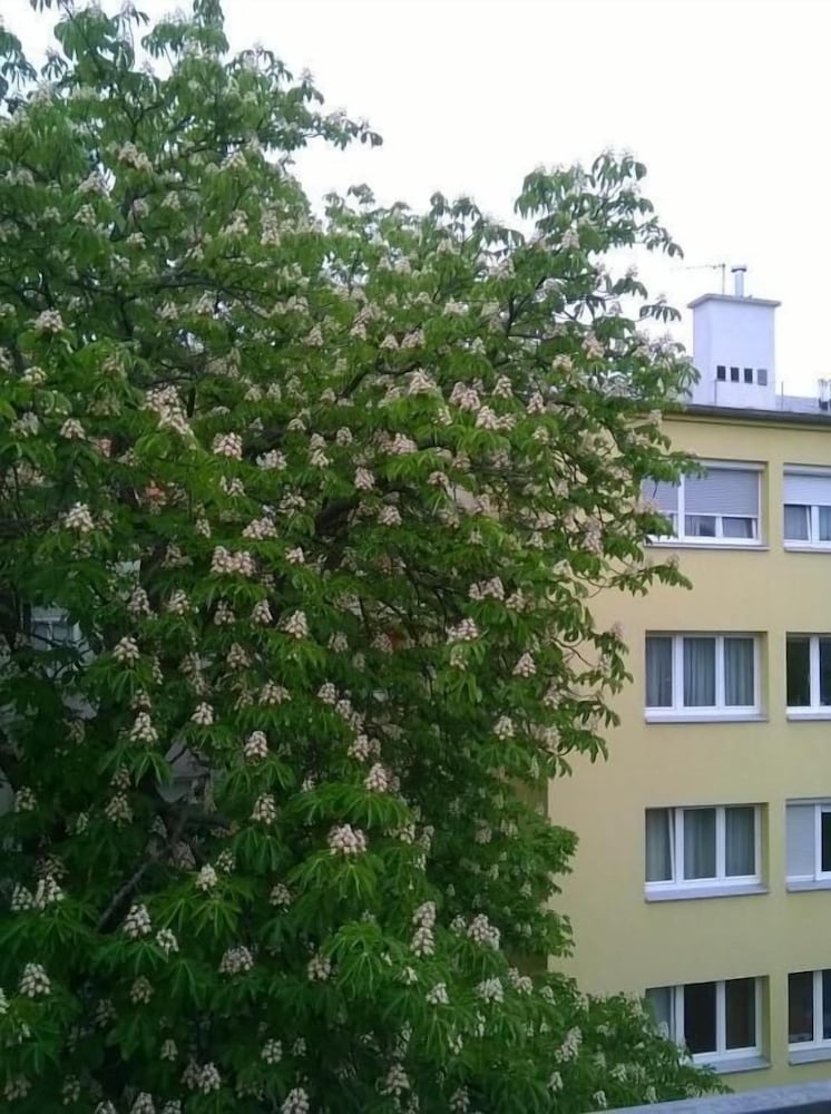 Фото Westend City Hostel GmbH