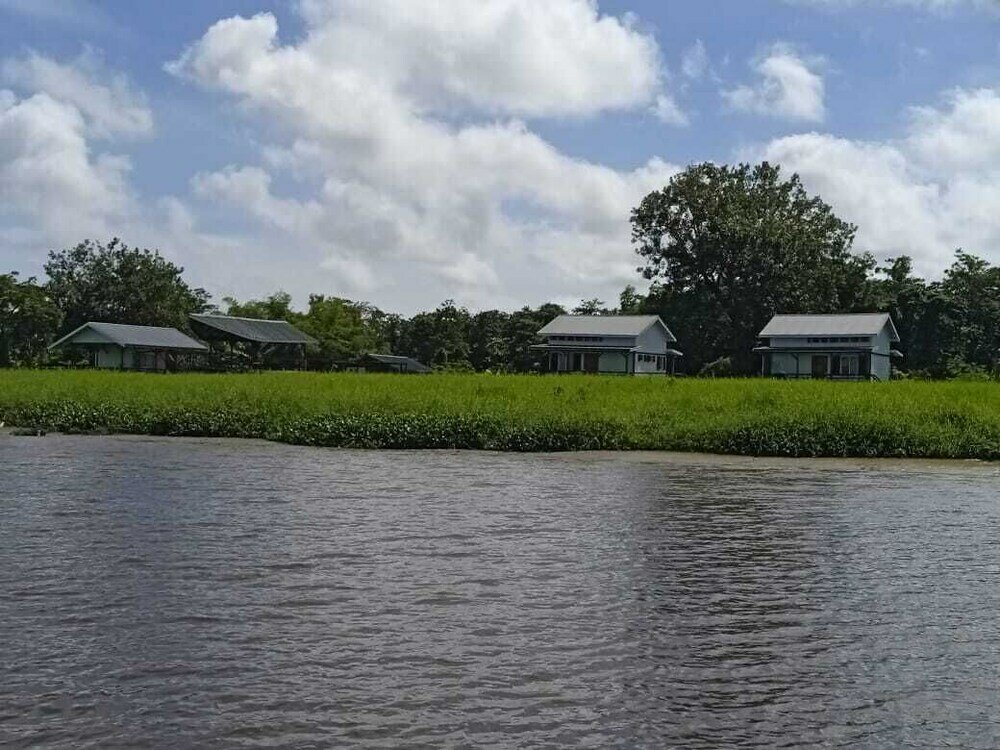 Фото Koffiemama Tree B&b