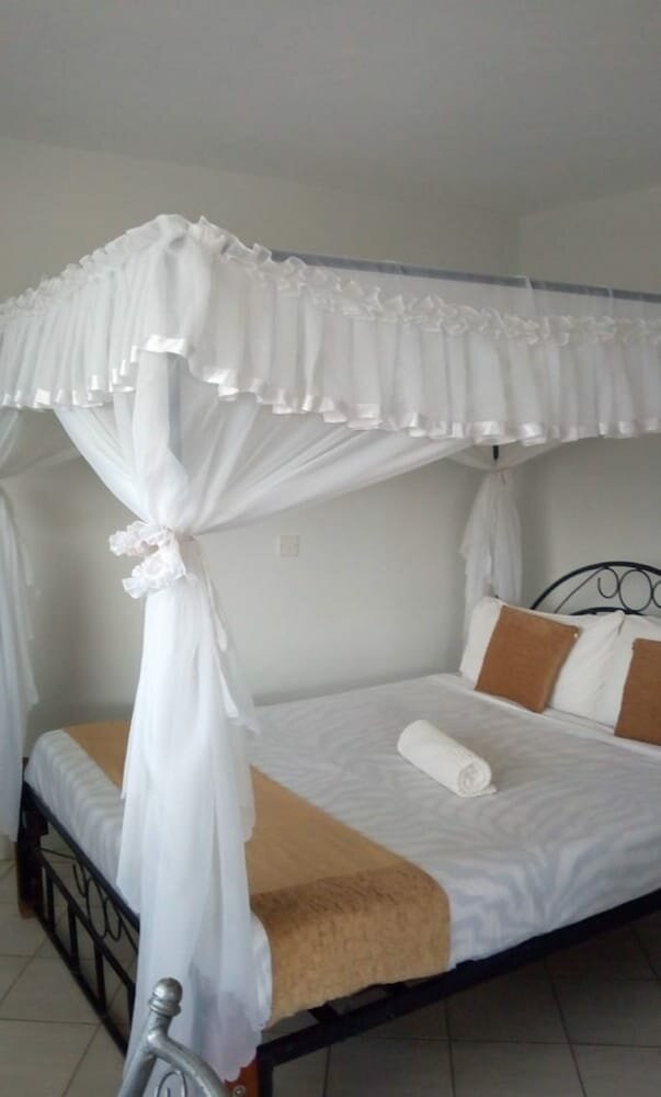 Hotel Puya Lodge, Earth, photo