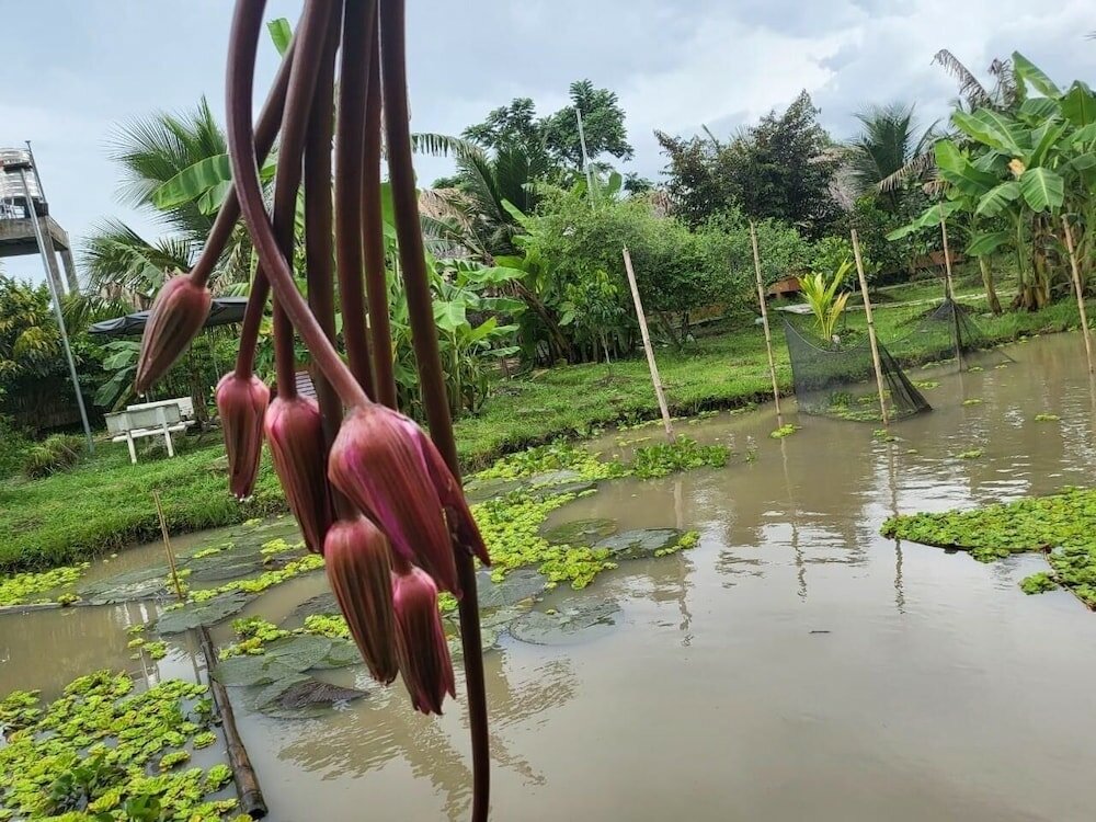 Фото Mekong Daniel Bungalow