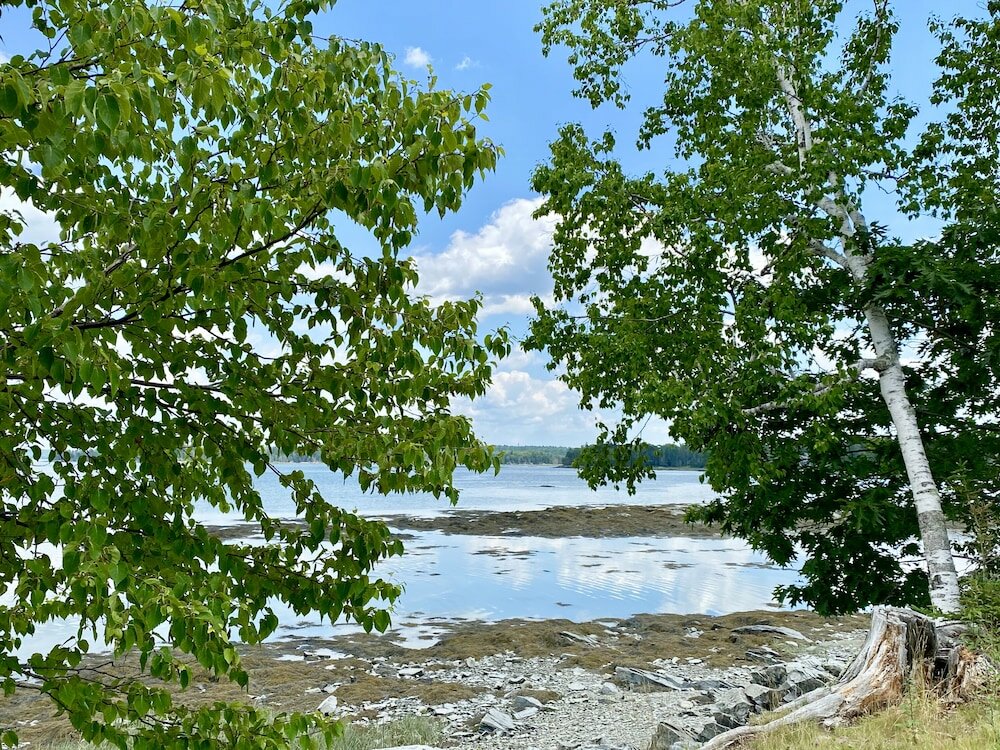Фото Island View Hotel Bar Harbor