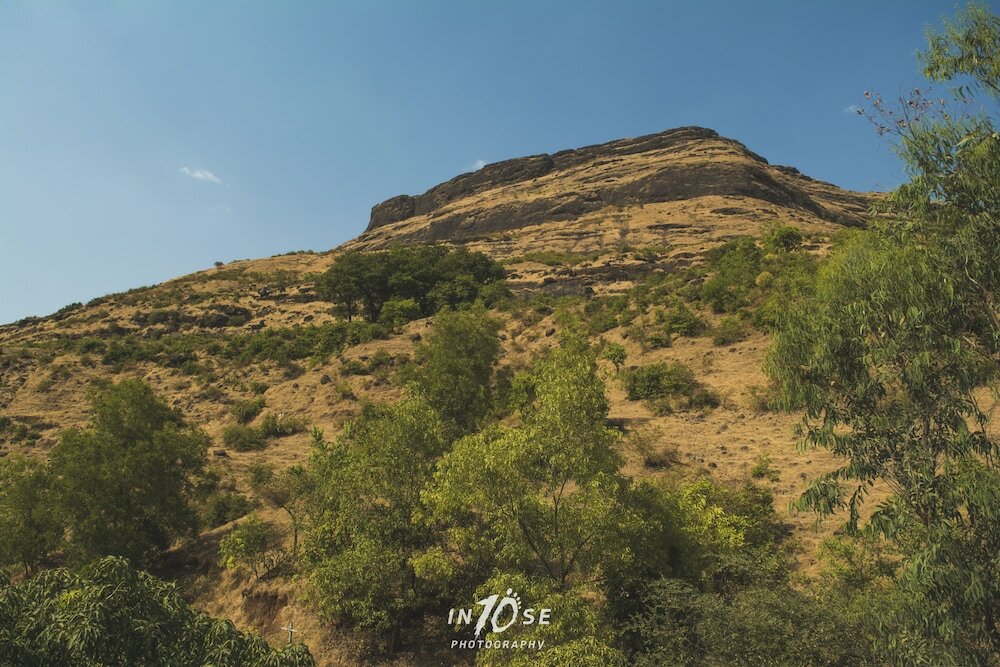 Фото Golden Resort and Farm