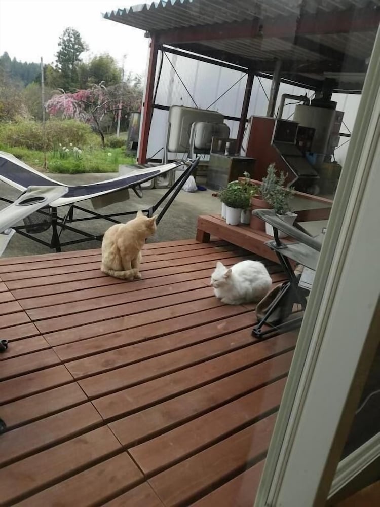 Фото Guesthouse-Lahar- Hostel