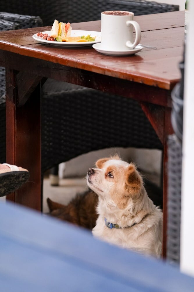 Фото Dalat Blue House Homestay & Cafe