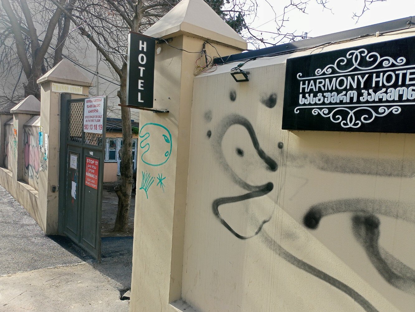 Фото Гармония