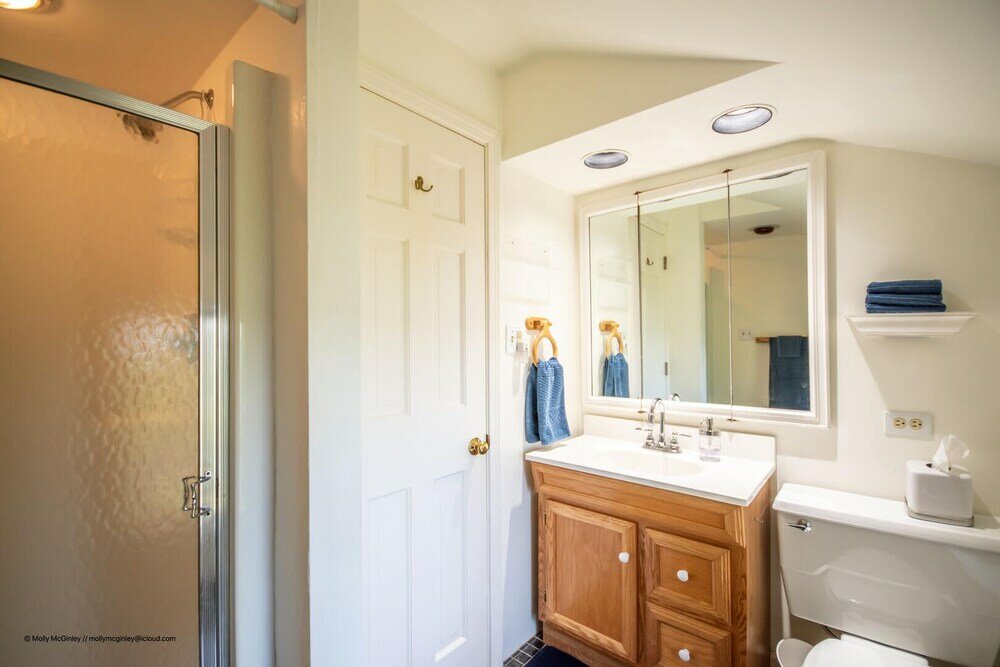 Фото Puffin Rock - New 2022!