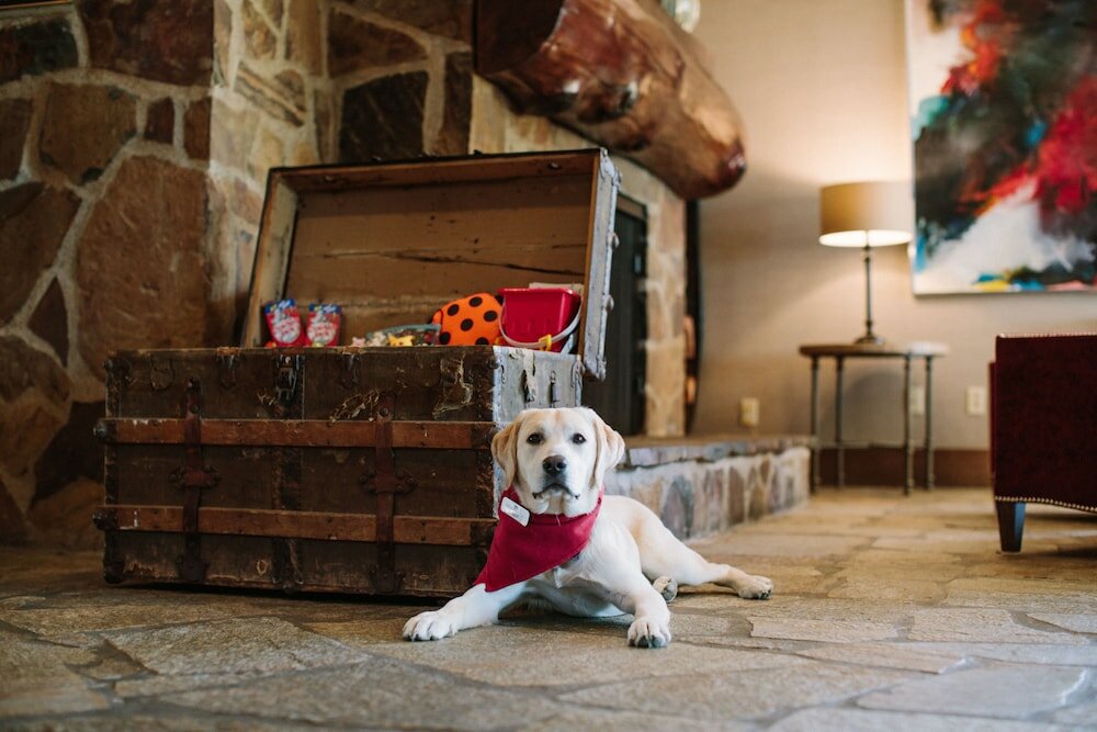 Фото Salishan Coastal Lodge