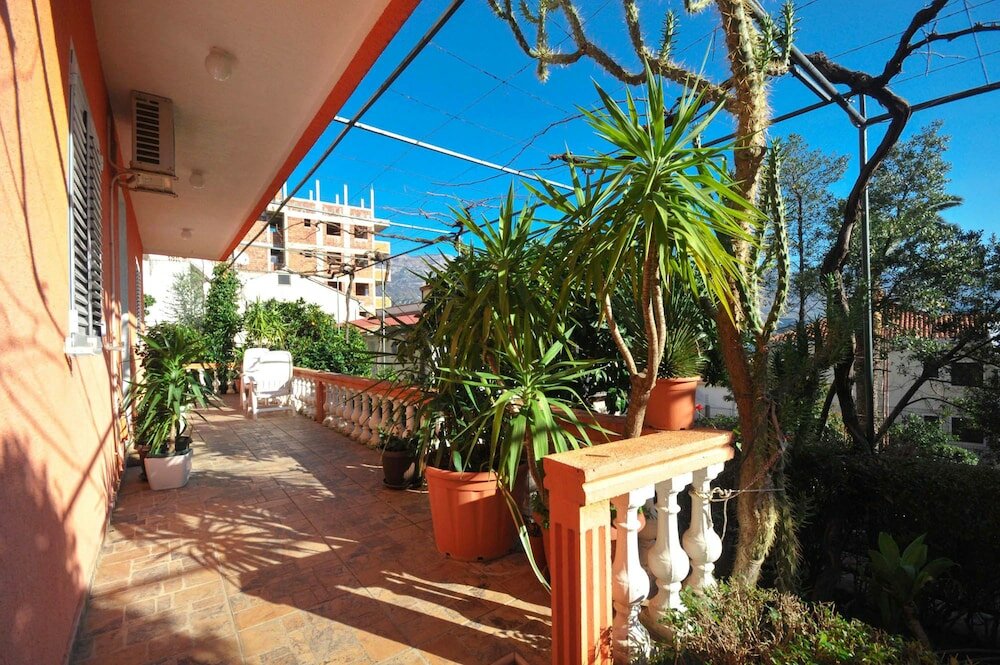 Фото Apartments Orange