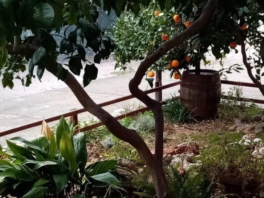 Фото Viki - 150m From sea - A1