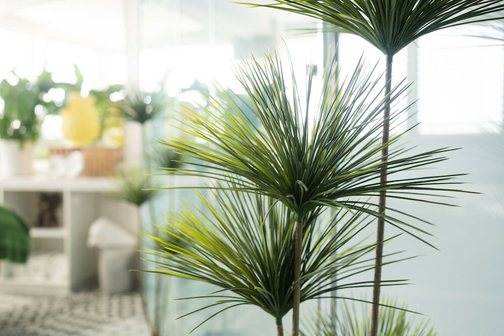 Фото The Business Sleeping Place