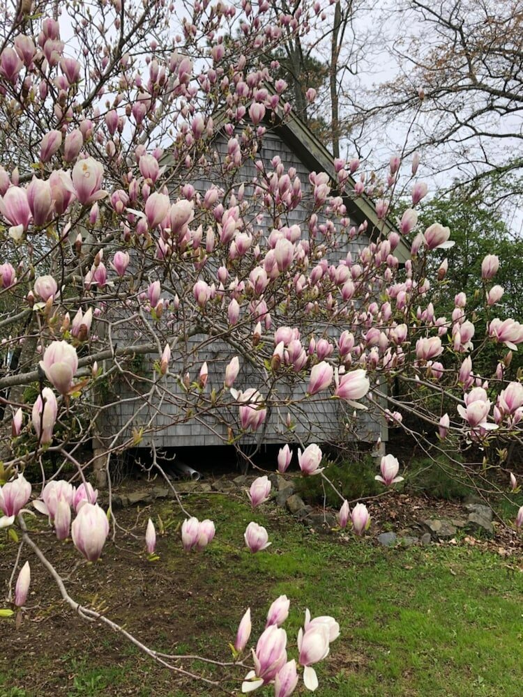 Фото Red Mahone Bed & Breakfast